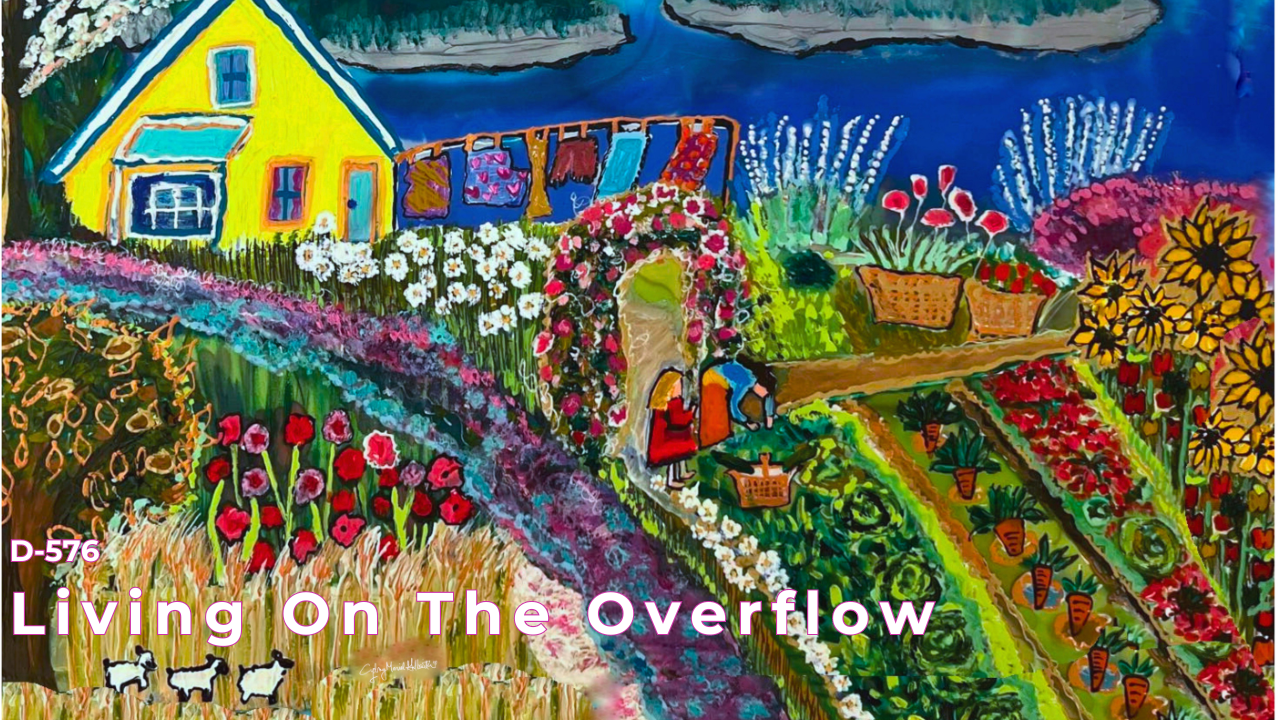 New Collection: The Yellow House - Living on the Overflow 2024