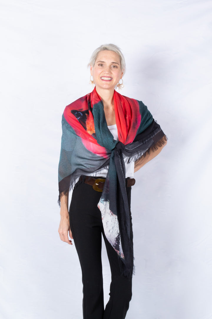 D-603  THE MESSENGER OF GOOD NEWS: CARL THE CARDINAL