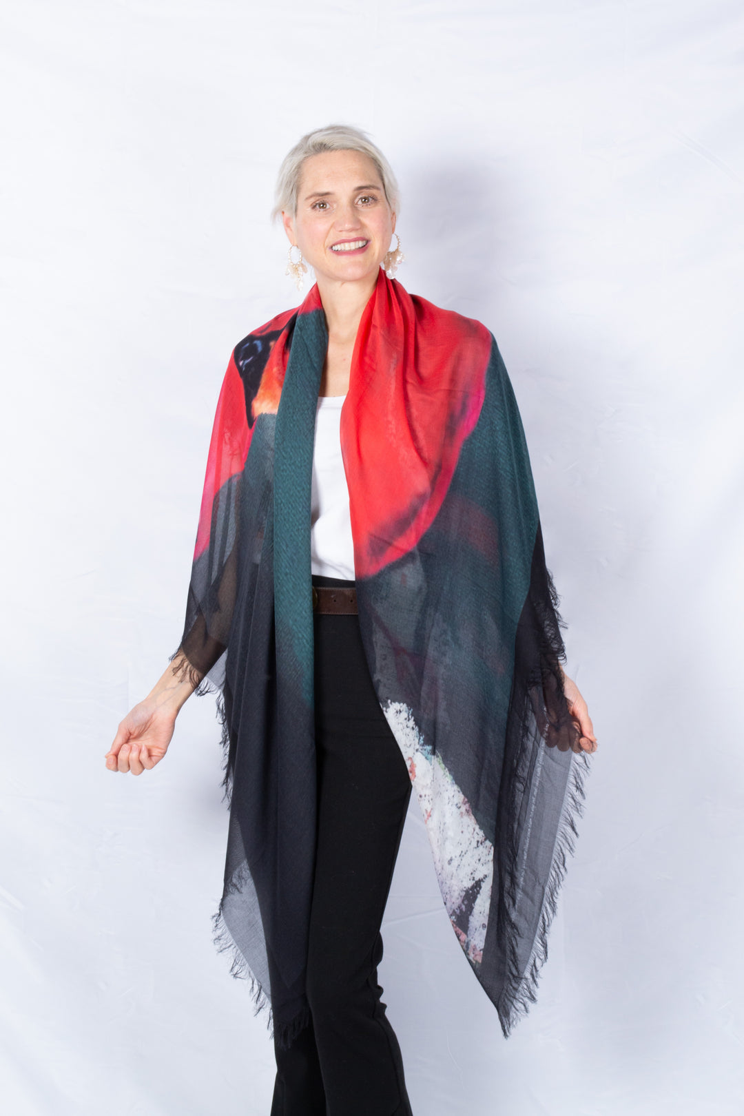 D-603  THE MESSENGER OF GOOD NEWS: CARL THE CARDINAL