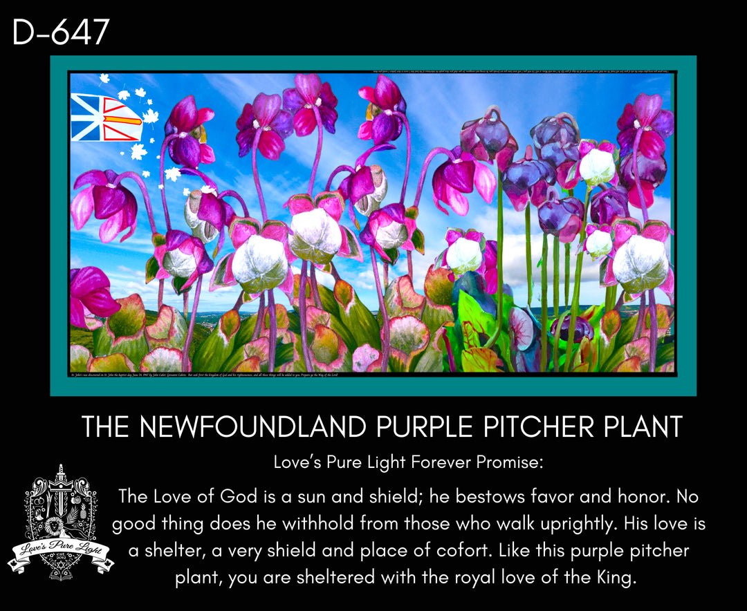 D-647 PROVINCIAL FLOWER OF NEWFOUNDLAND THE PURPLE PITCHER PLANT