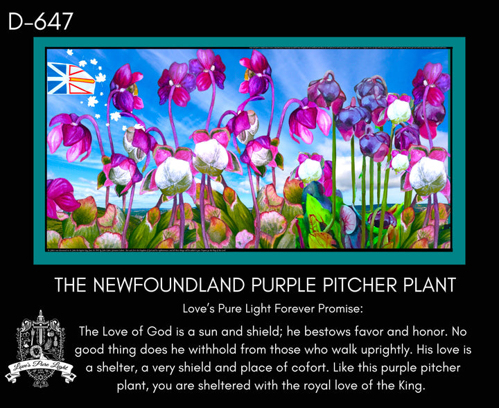 D-647 PROVINCIAL FLOWER OF NEWFOUNDLAND THE PURPLE PITCHER PLANT
