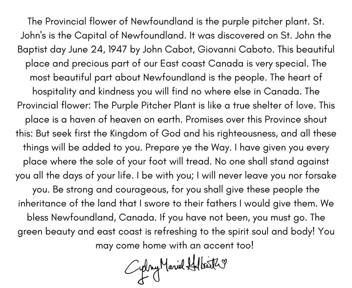 D-647 PROVINCIAL FLOWER OF NEWFOUNDLAND THE PURPLE PITCHER PLANT