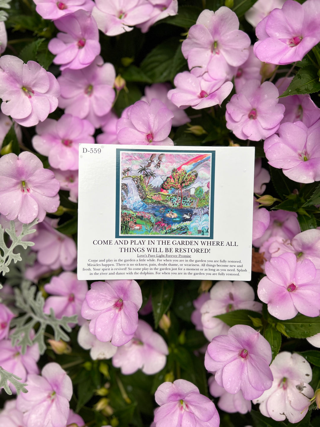D-559   COME AND PLAY IN THE GARDEN WHERE ALL THINGS WILL BE RESTORED!