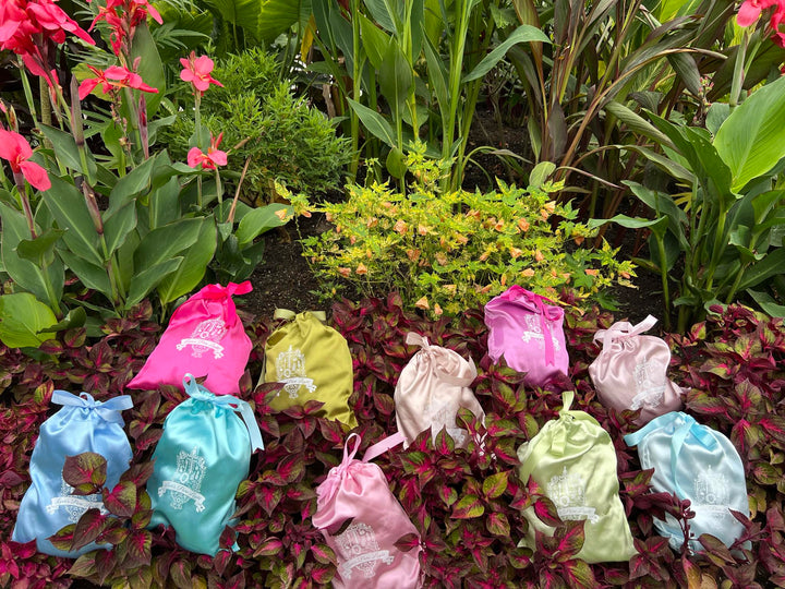 D-SURPRISE ME WITH A COLOR SILK POUCH