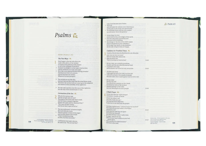 HOSANNA REVIVAL CSB NOTETAKING BIBLE : AUGUSTA THEME