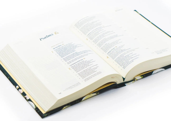HOSANNA REVIVAL CSB NOTETAKING BIBLE : AUGUSTA THEME