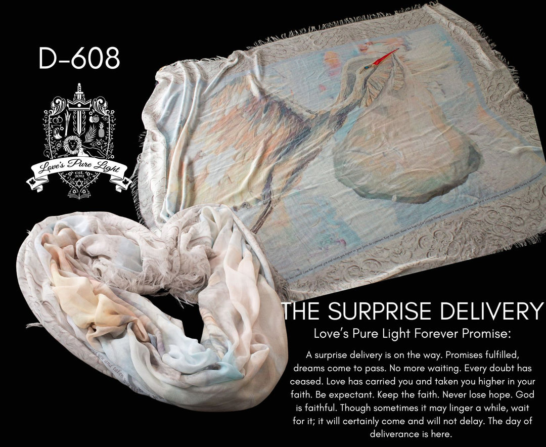 D-608 THE SURPRISE DELIVERY