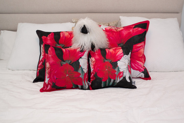 D-192 AMARYLLIS BLOOM - Small Luxury Hand Painted Organic Linen Sham with Black Edge, 16" x 16"