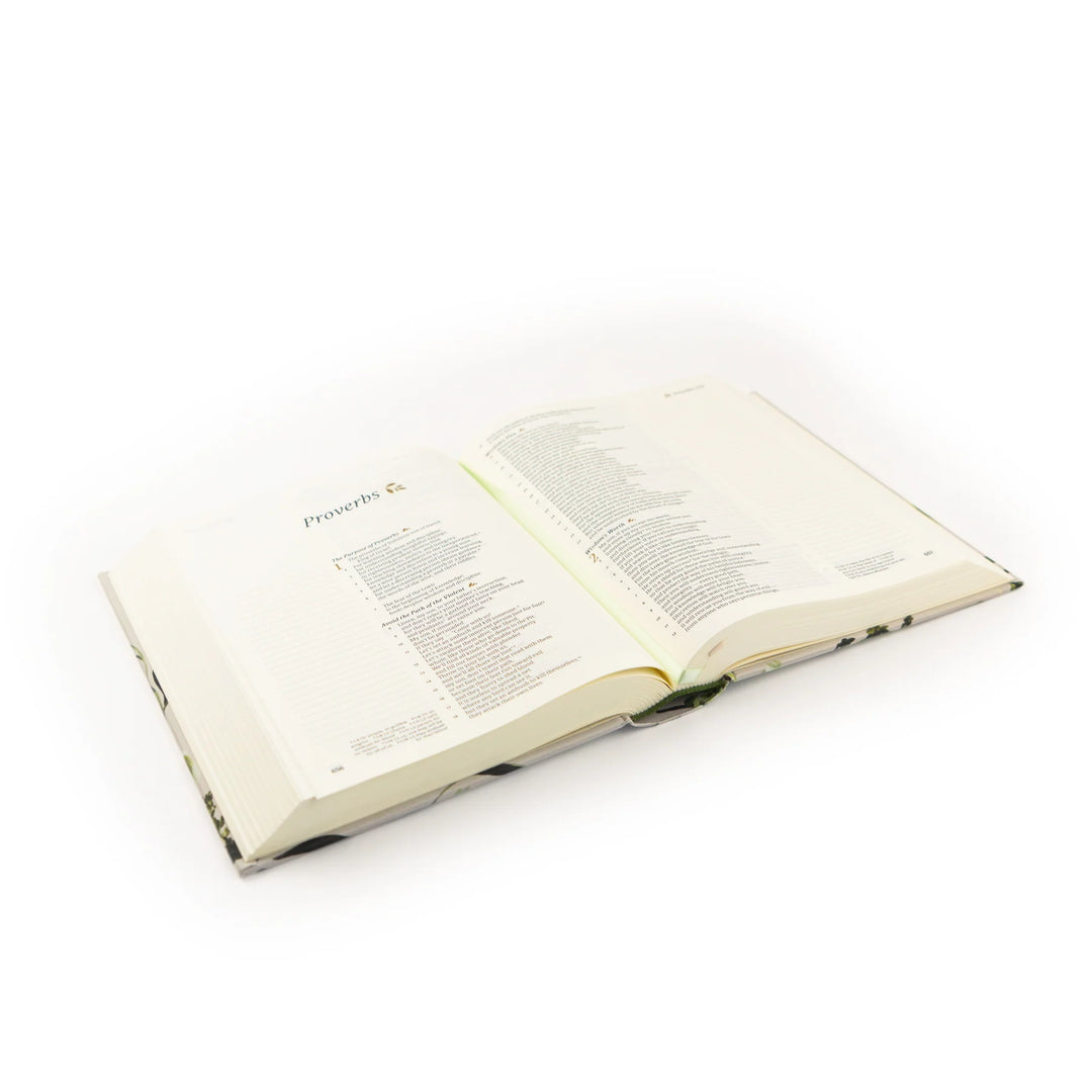CSB NOTETAKING BIBLE: DORSET THEME