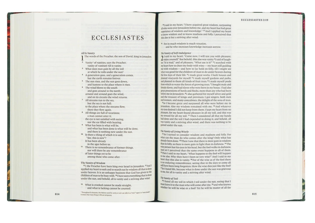 ESV LARGE PRINT JOURNALING BIBLE : HOLLIS THEME