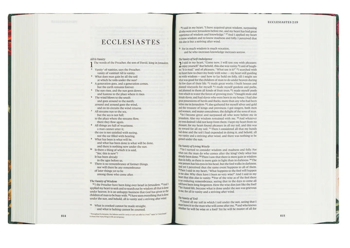 ESV LARGE PRINT JOURNALING BIBLE : HOLLIS THEME