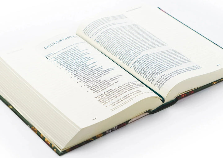 ESV LARGE PRINT JOURNALING BIBLE : HOLLIS THEME