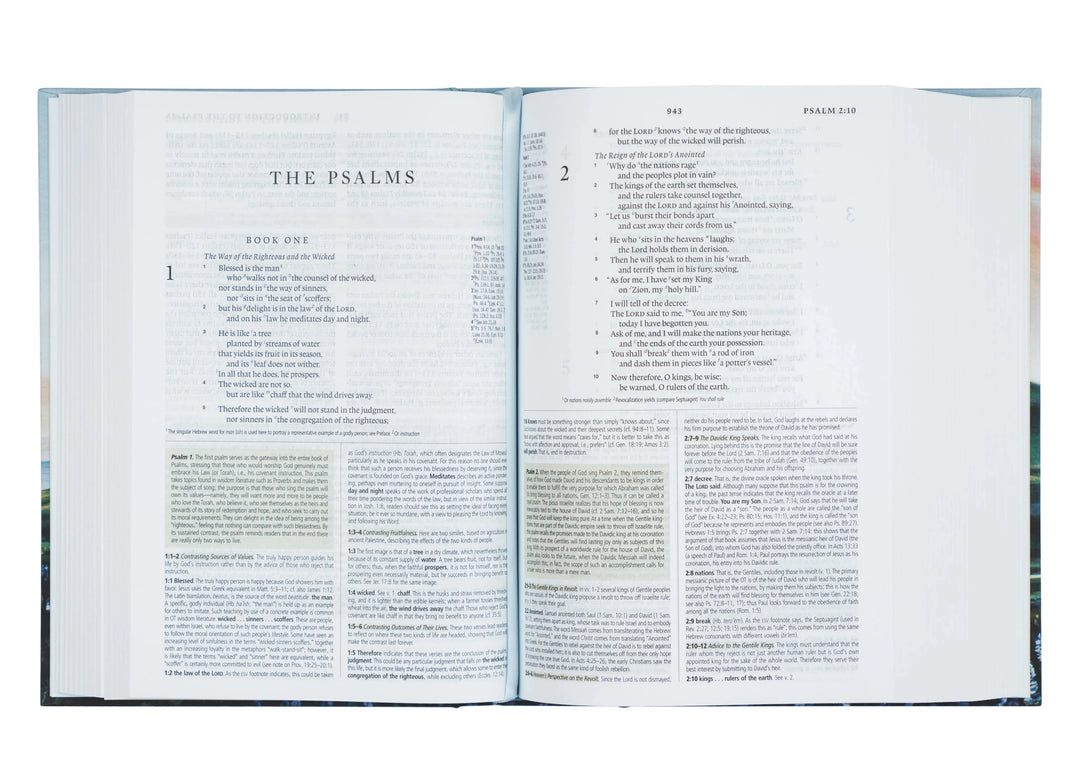 ESV Study Bible: Iceland Theme
