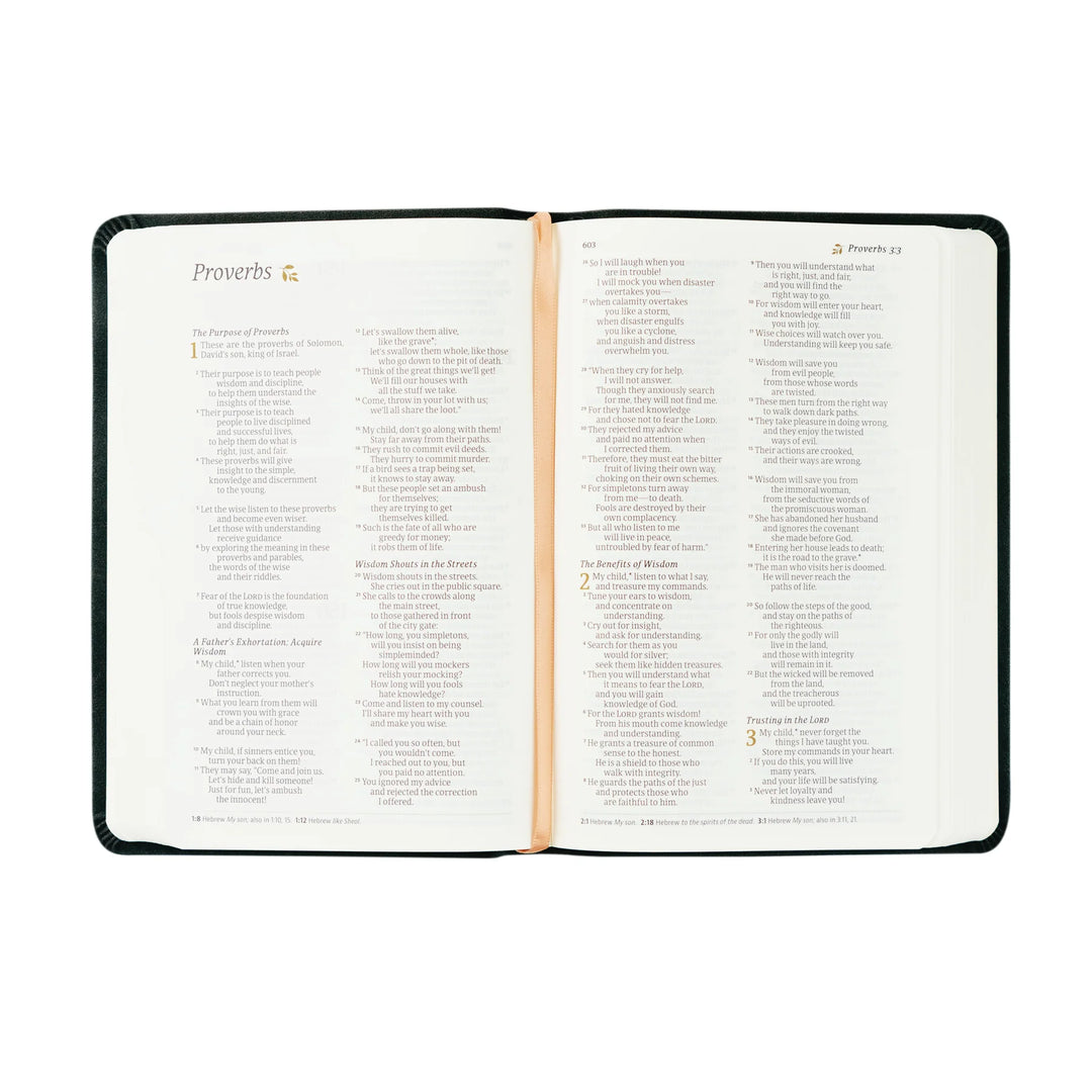 HOSANNA REVIVAL NLT COMPACT BIBLE : JERUSALEM THEME