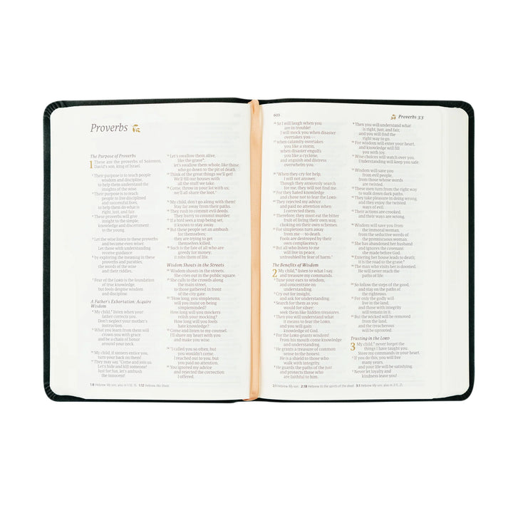 HOSANNA REVIVAL NLT COMPACT BIBLE : JERUSALEM THEME