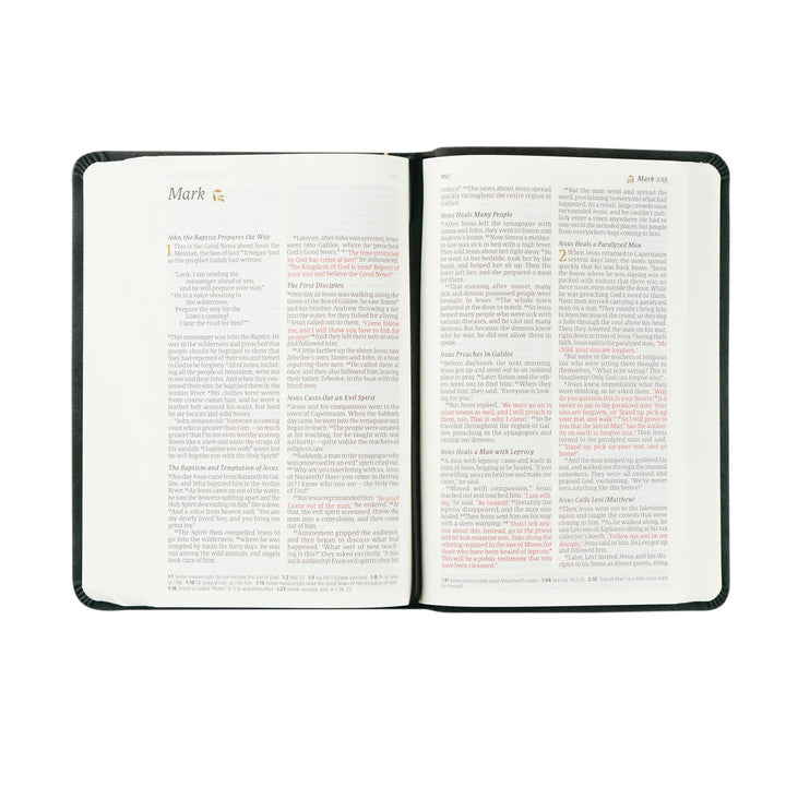 HOSANNA REVIVAL NLT COMPACT BIBLE : JERUSALEM THEME
