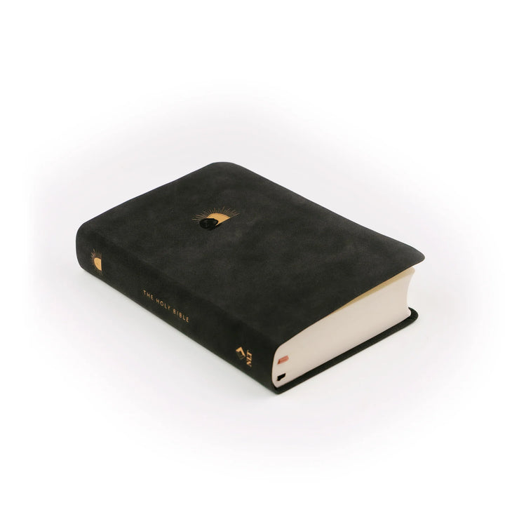 HOSANNA REVIVAL NLT COMPACT BIBLE : JERUSALEM THEME