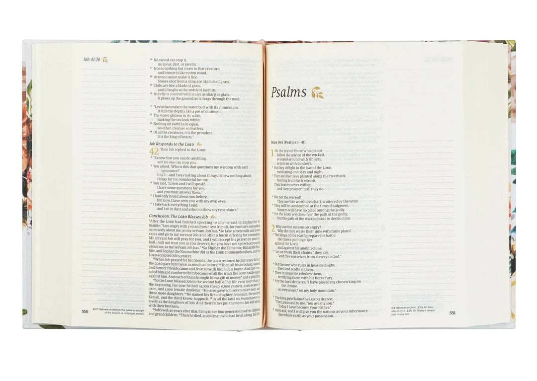 NLT NOTETAKING BIBLE : MADRID THEME