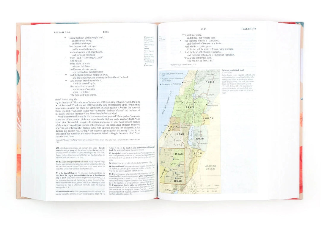 ESV STUDY BIBLE: MALORY HOLLOW THEME