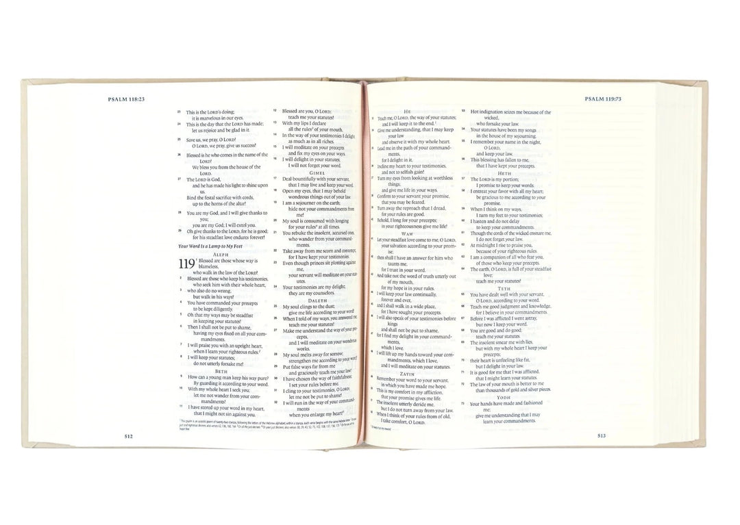 ESV JOURNALING BIBLE: SALAMANCA THEME