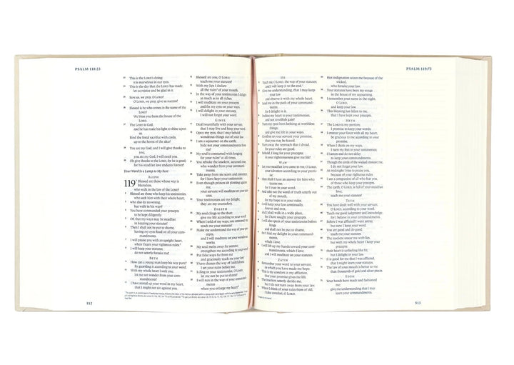ESV JOURNALING BIBLE: SALAMANCA THEME