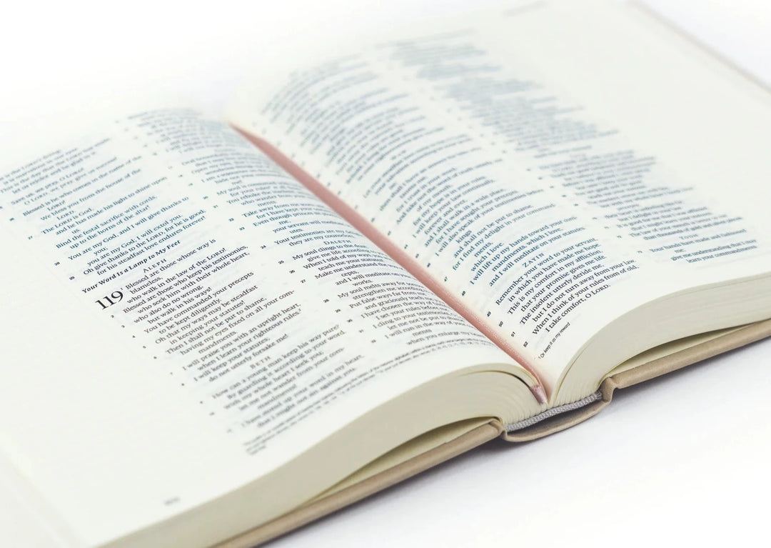 ESV JOURNALING BIBLE: SALAMANCA THEME