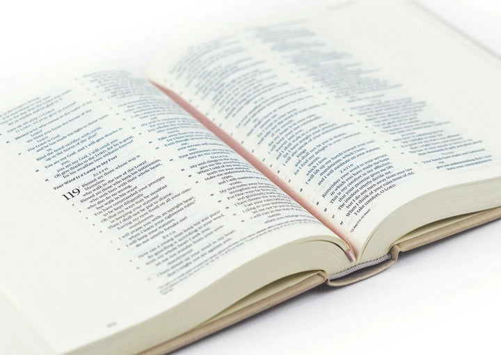 ESV JOURNALING BIBLE: SALAMANCA THEME