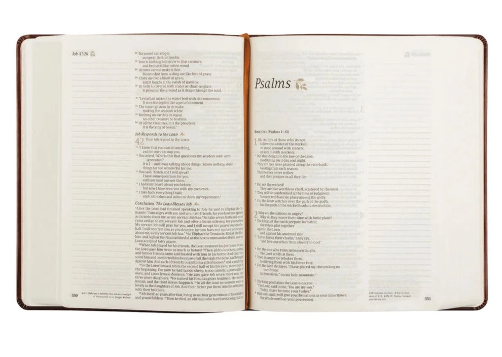 NLT Notetaking Bible : Santa Elena Theme