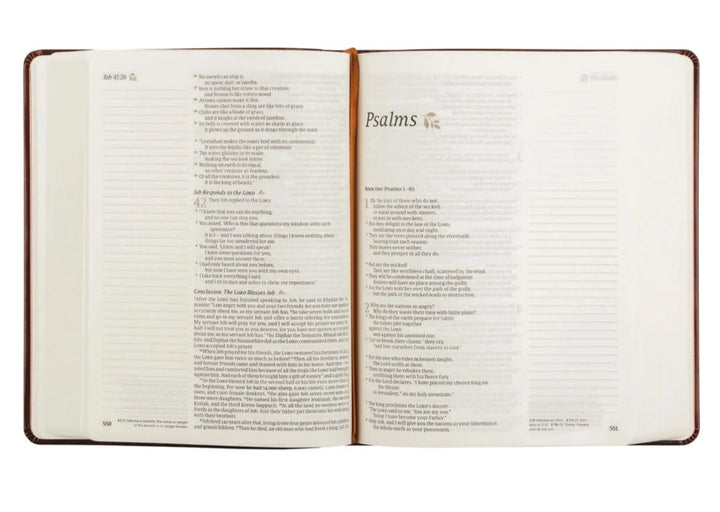 NLT Notetaking Bible : Santa Elena Theme
