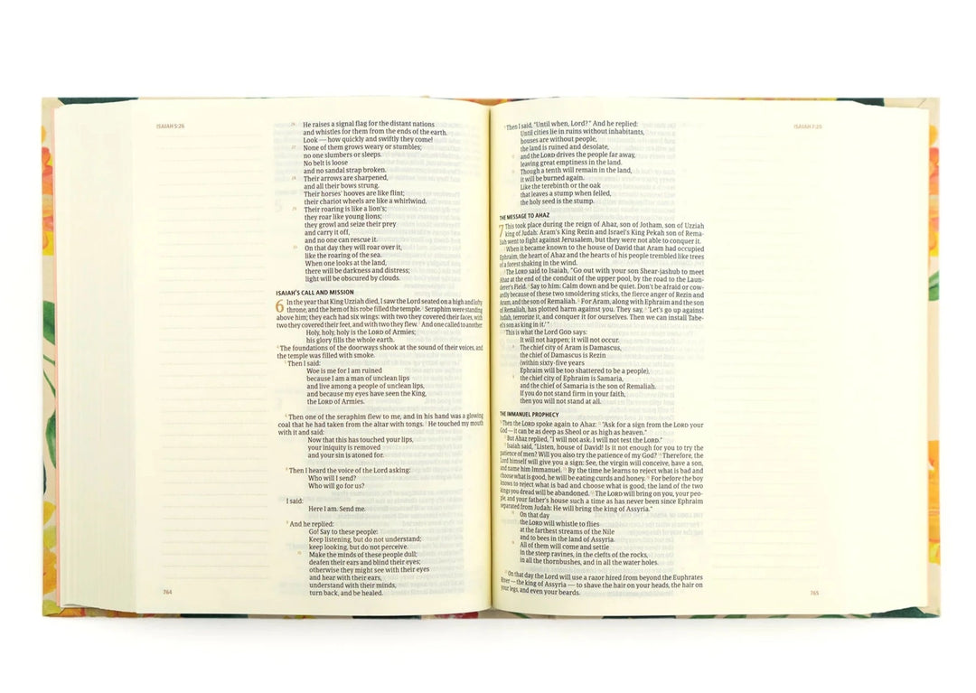 HOSANNA REVIVAL CSB NOTETAKING BIBLE: SAVANNAH THEME