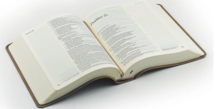 Hosanna Revival: KJV Large Print Notetaking Bible - Marlo Theme