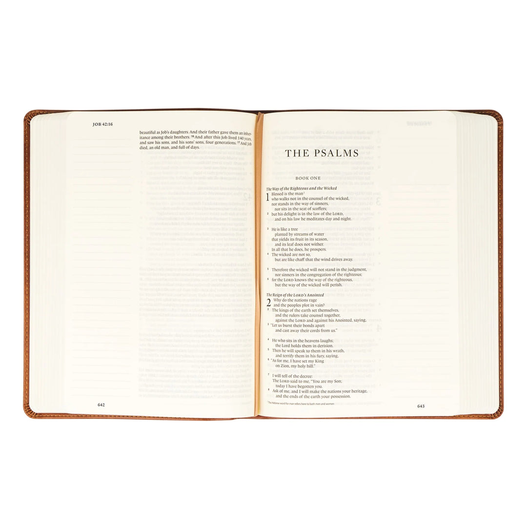 HOSANNA REVIVAL ESV SINGLE COLUMN LARGE PRINT JOURNALING BIBLE : Sierra
