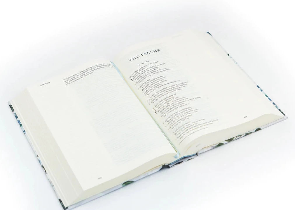 ESV Large Print Journaling Bible: Victoria Theme
