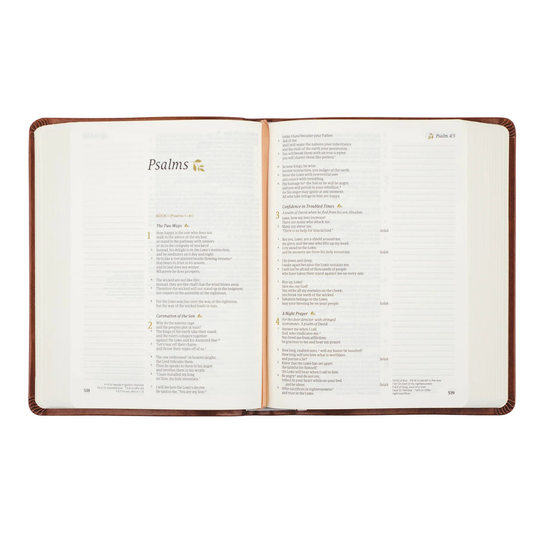 HOSANNA REVIVAL CSB NOTETAKING BIBLE: VIENNA THEME