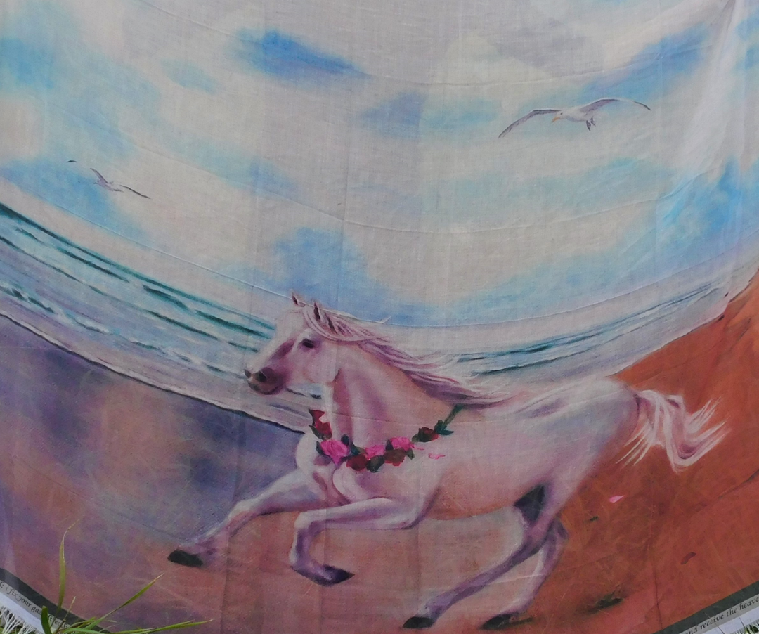 D-147A TRIUMPHAL PROCESSION WHITE HORSE